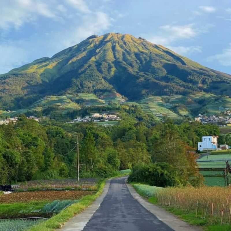 Yogyakarta: Nepal Van Java & Vegetable Village Tour - Practical Details and What to Bring