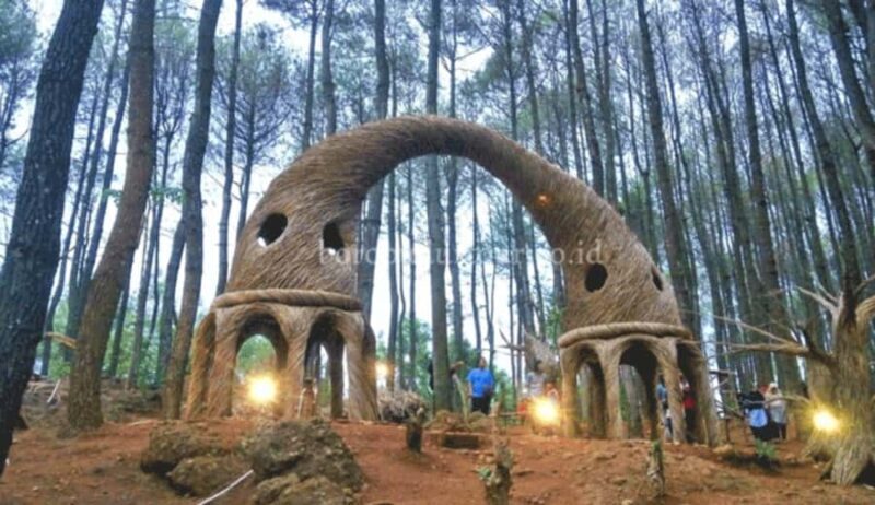 YOGYAKARTA; PINDUL CAVE,SRI GETHUK WATERFALLL & PINE FOREST. - Who Should Consider This Tour?