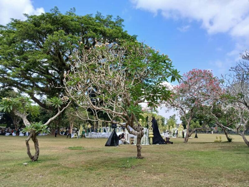 Yogyakarta: Plaosan & Prambanan Temples Tour with Guide - Why This Tour Delivers Great Value