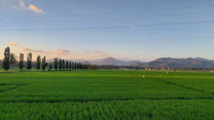 Yogyakarta: Private Car Hire With Driver and Flexy Hours - Inclusions & Services