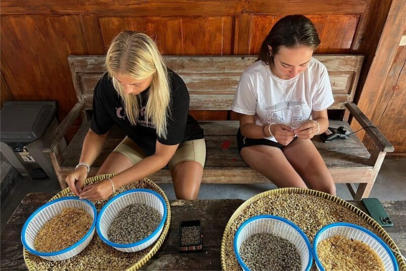 Yogyakarta: Private Custom Women-Only Tour with Female Guide - Final Thoughts: Who Will Love This Tour?