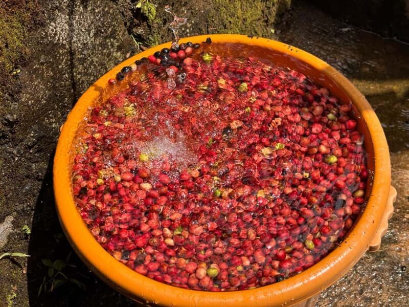 Yogyakarta: Rice Terrace Trek All Inclusive Guided Tour - Good To Know