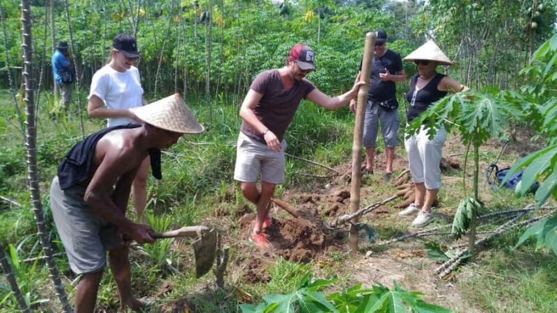 Yogyakarta: Selogriyo Temple and Candirejo Cycling Tour - What We Love About This Tour
