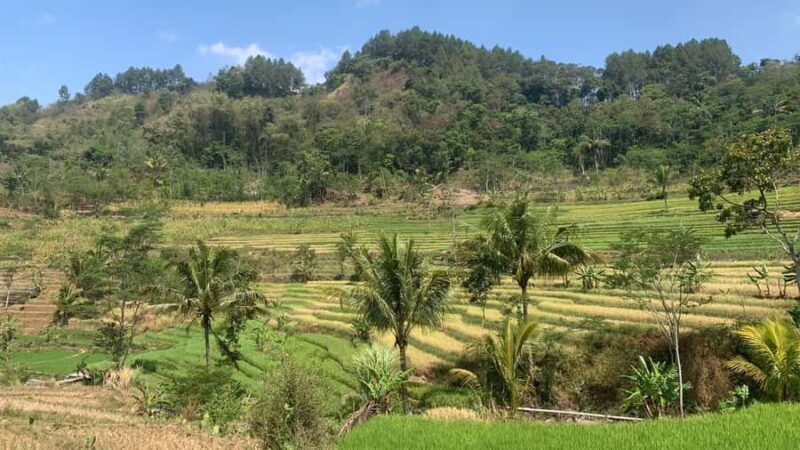 Yogyakarta: Selogriyo Temple and Candirejo Cycling Tour - Visiting Selogriyo Temple: A Spiritual and Scenic Stop