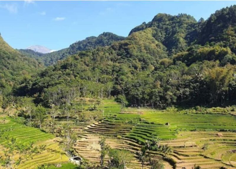 Yogyakarta : Selogriyo Temple And Kedung Kayang Waterfall - FAQ