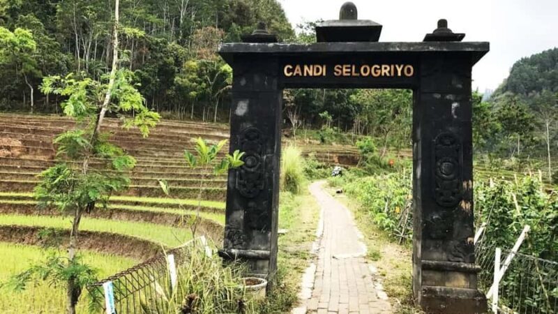 Yogyakarta: Selogriyo Temple and Rice Terrace Soft Trekking - The Sum Up