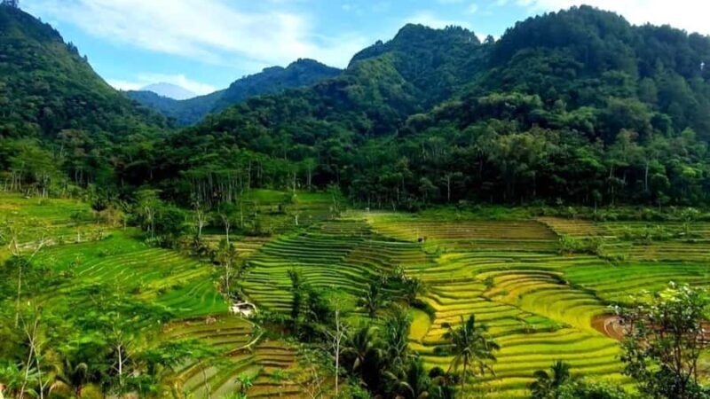 Yogyakarta: Selogriyo Temple and Rice Terrace Soft Trekking - The Authentic Charm of the Tour