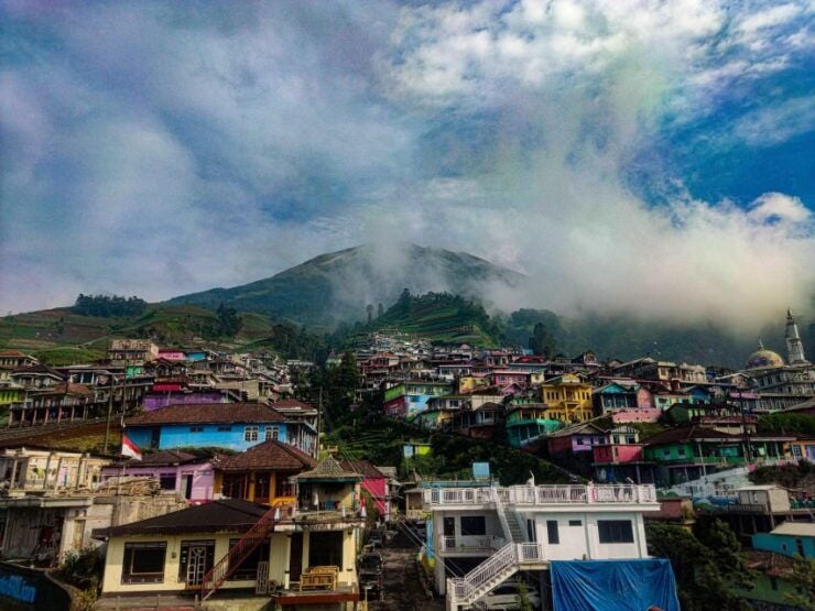 Yogyakarta :Selogriyo Temple, Rice Field Trek& Nepalvan Java - Scenic Rice Field Trekking Experience