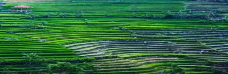 Yogyakarta Selogriyo Trek & Borobudur Drone Adventure - Who Will Love This Tour?