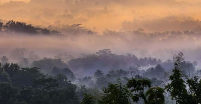 YOGYAKARTA: SETUMBU HILL SUNRISE/BOROBUDUR/DIENG PLATEAU - Tour Inclusions