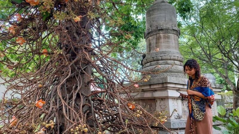 Yogyakarta: Sunrise Inside Borobudur with breakfast - The Sum Up