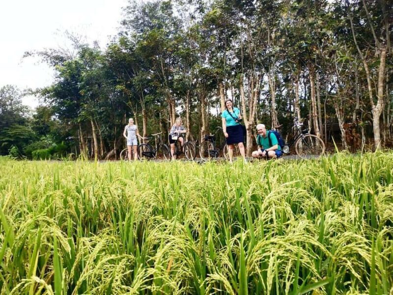 Yogyakarta: Traditional Village Bicycle Tour with Transfer - What Makes This Tour Special