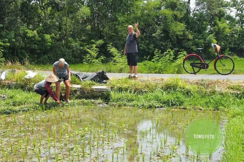 Yogyakarta: Traditional Village Bicycle Tour with Transfer - Price and Value