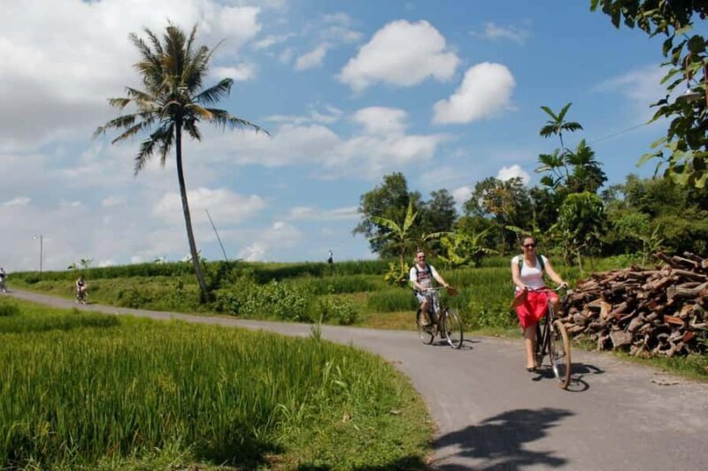 Yogyakarta: Traditional Village Bicycle Tour with Transfer - Practical Tips for Visitors