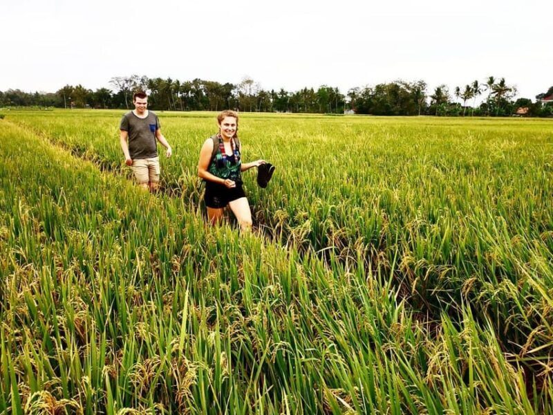 Yogyakarta: Traditional Village Bicycle Tour with Transfer - Final Thoughts