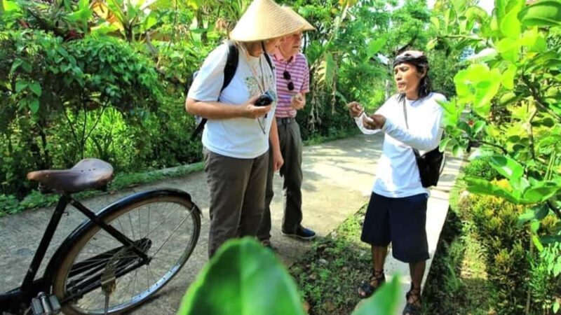 Yogyakarta: Village Cycling Tour with Classic Bicycle - Authentic Moments & Insider Tips