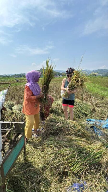 Yogyakarta: Village Cycling Tour with Local Snacks - Practical Details & Considerations
