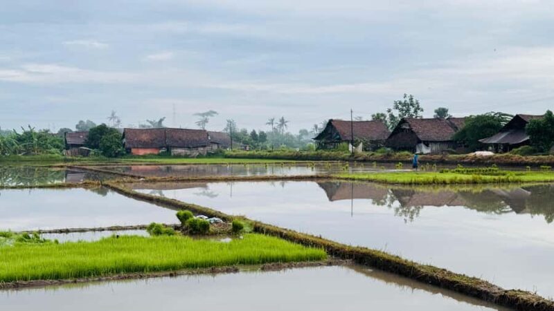 Yogyakarta: Village Cycling Tour with Local Snacks - The Sum Up: Who Will Love This Tour?