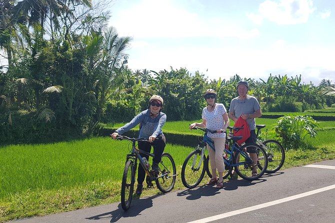 Yogyakarta Village & Temple Cycling Tour - Tour Highlights