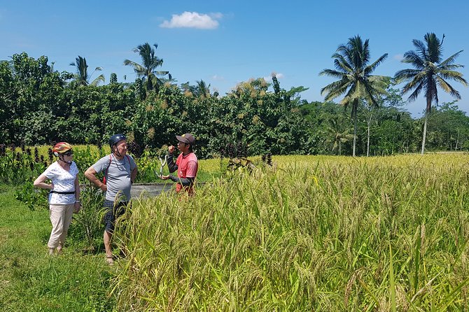 Yogyakarta Village & Temple Cycling Tour - Cycling Route