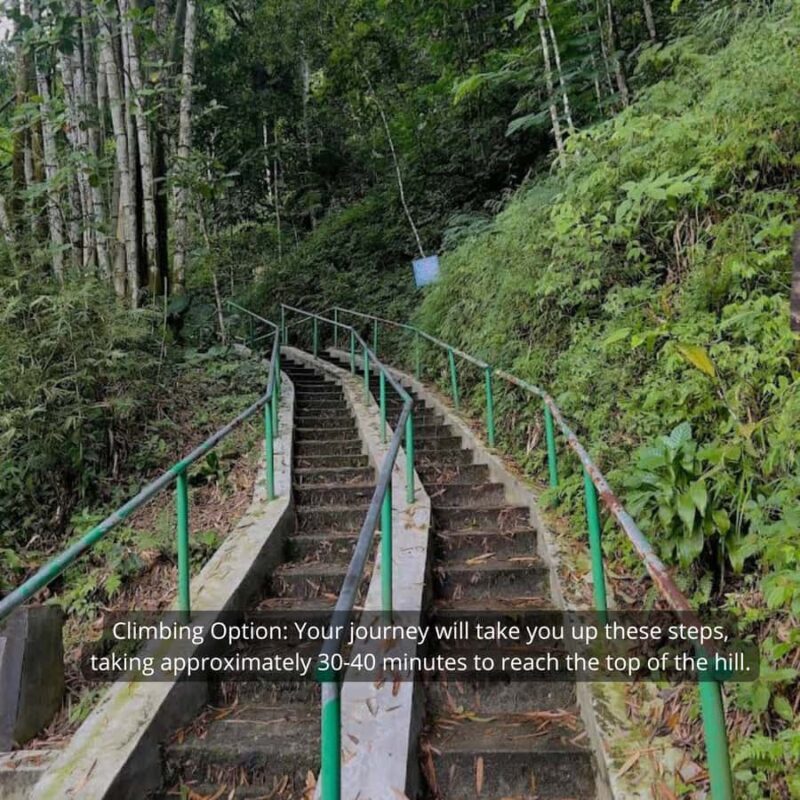 Yogyakarta Volcano: Merapi Volcano on Hilltop (Lava Viewing) - Final Thoughts