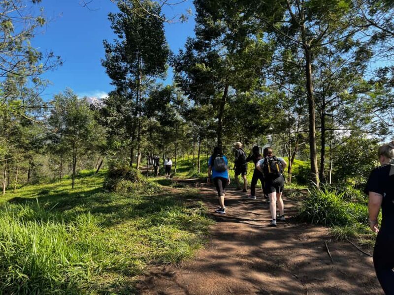 Yogyakarta: Volcano Mount Merapi Ecotourism Hiking Adventure - Final Thoughts