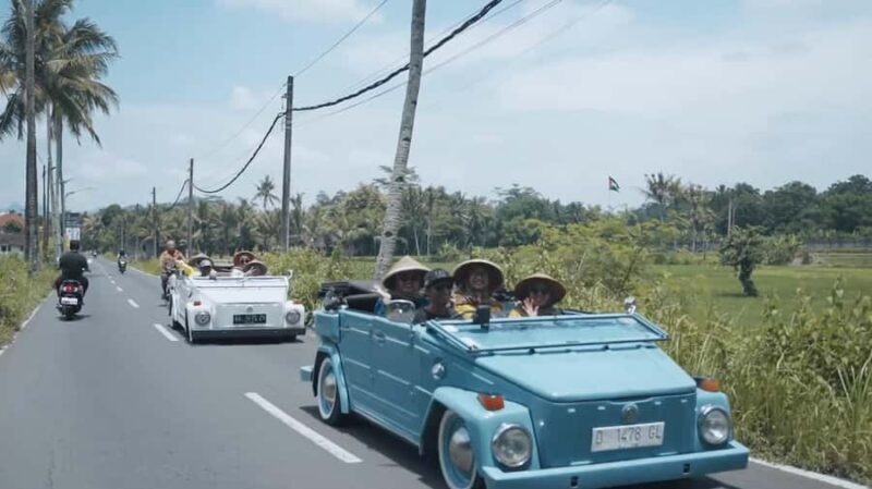 Yogyakarta : VW Borobudur English Guide Tour Long Trip - Pricing, Value, and Overall Experience