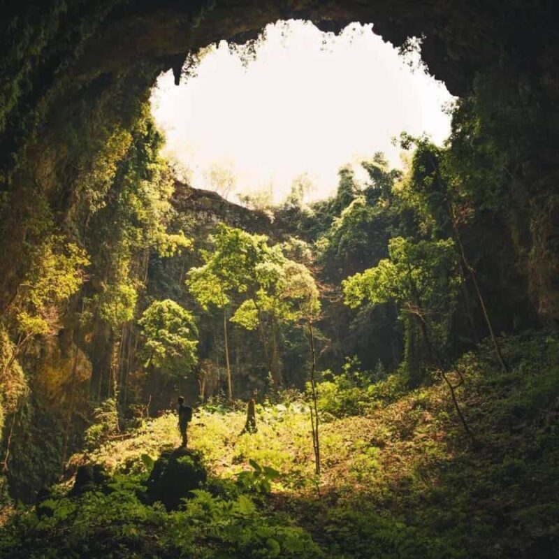 Yogyakarta:Jomblang Cave & Pindul Cave Shared Adventure Tour - The Sum Up  
