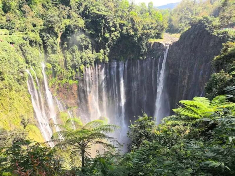 Yogyakarta,Surabaya/malang to waterfall,Bromo&Ijen drop Bali - Pickup and Travel to East Java