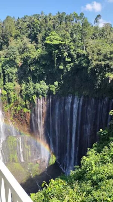 Yogyakarta,Surabaya/malang to waterfall,Bromo&Ijen drop Bali - Return and Drop-off