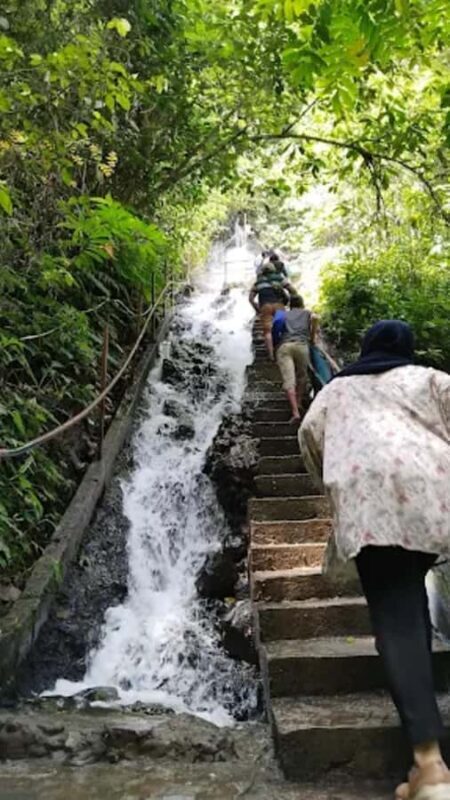 Yogyakarta,Surabaya/malang to waterfall,Bromo&Ijen drop Bali - Price and Value