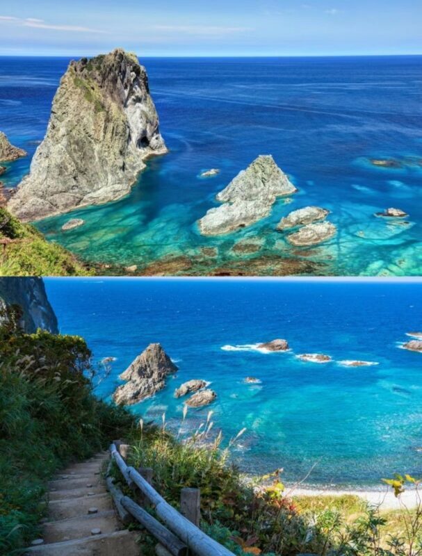 Yoichi Fruit Picking & Shakotan Peninsula Kamui Cape In-Depth Day Tour (Departing from Sapporo) - Picking fruit in Yoichi