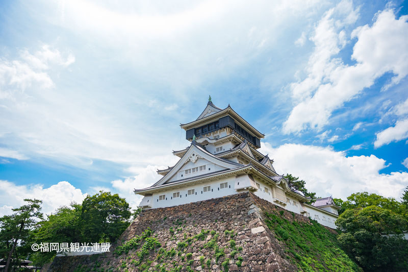 YokaBus Kawachi Wisteria Garden, Seasonal Fruit Picking and Kokura Castle - A short taste of Kyushu at Munakata