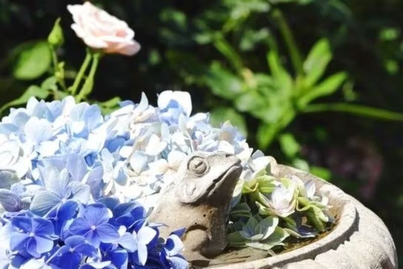 Yokohama English Garden - When to go for flowers and photos