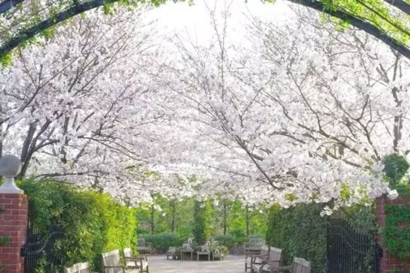 Yokohama English Garden - Taking photos without getting in the way