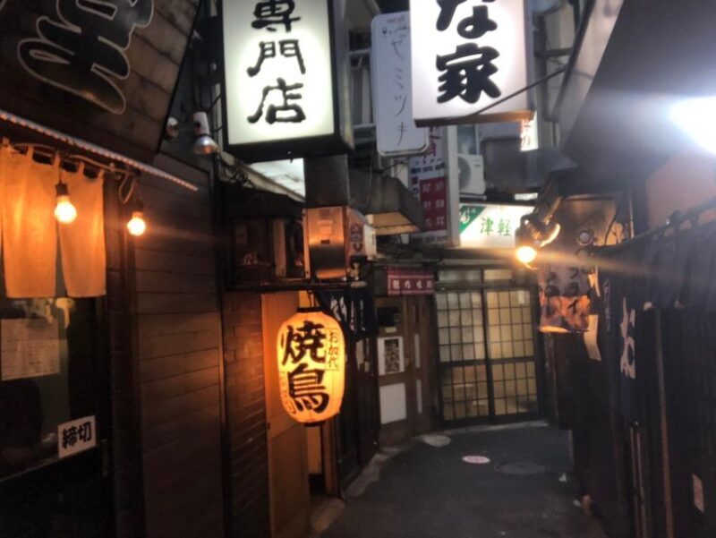 Yokohama Full Day Tour with a Local Expert Guide - The Sum Up