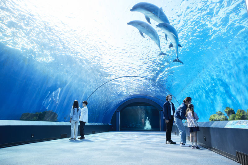 Yokohama Hakkeijima Sea Paradise Ticket - Rides add a second kind of day