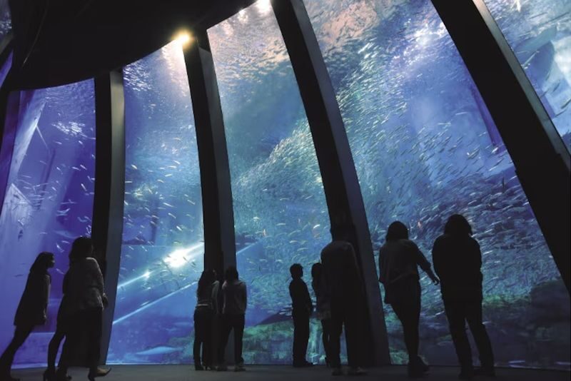 Yokohama Hakkeijima Sea Paradise Ticket - Pick the pass that fits your plans