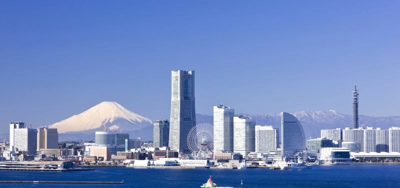 Yokohama Half-Day Private City Highlights Tour - Four hours to see Yokohama’s contrasting sides