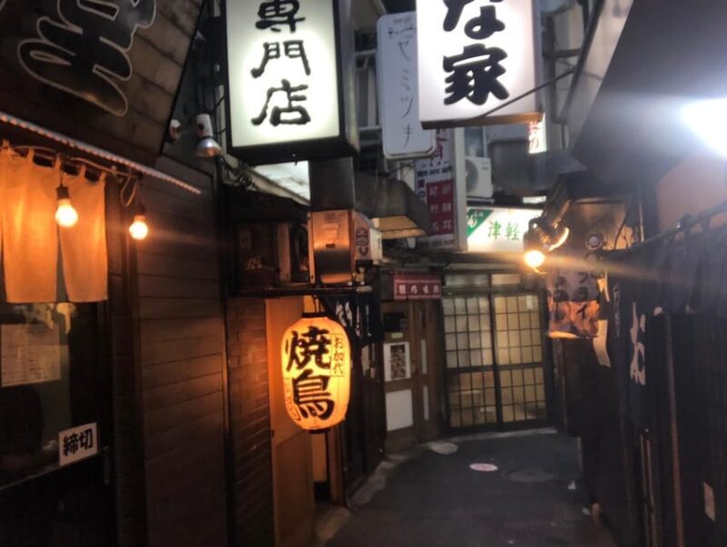 Yokohama Half Day Tour with a Local Expert Guide - Practical Details and Tips