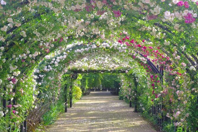 Yokohama/ Kamakura One Day Charter Car Service - Cancellation Policy