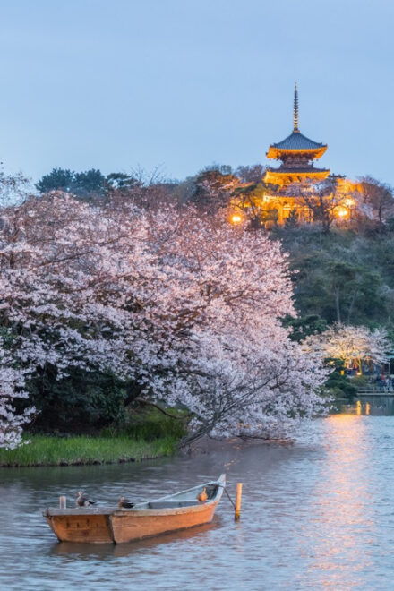 Yokohama Kanagawa One Day Private Charter Car From Tokyo - Top Attractions in Yokohama