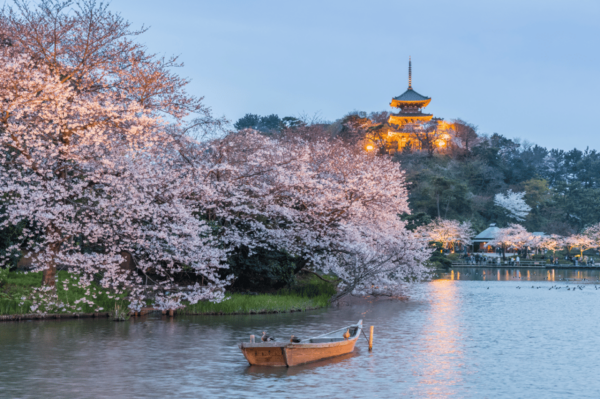 Yokohama Kanagawa One Day Private Charter Car From Tokyo - Tips for a Great Trip