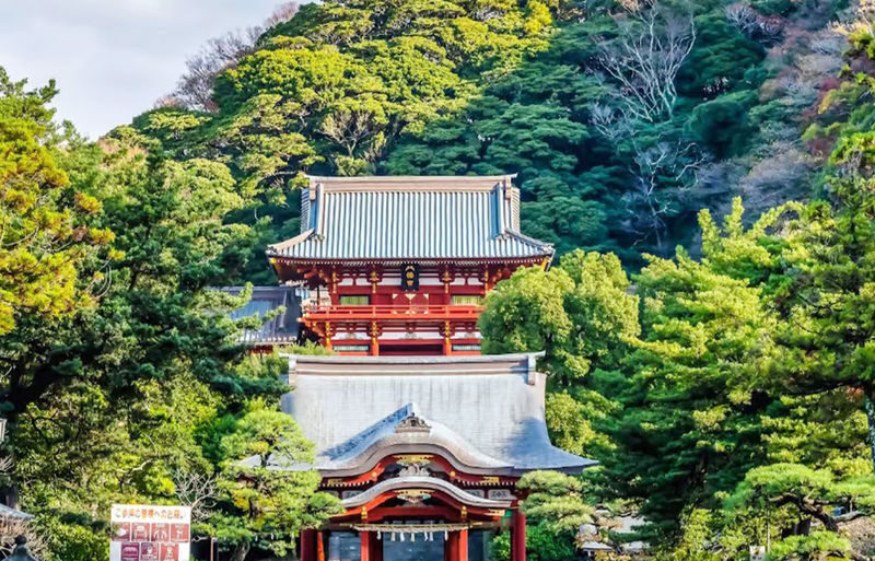 Yokohama Minato Mirai Osanbashi Pier & Yokohama Cosmo World Cable Car & Enoshima & Kamakura High School & Tsurugaoka Hachimangu Shrine Day Tour (From Tokyo) - What the price covers, and what it does not