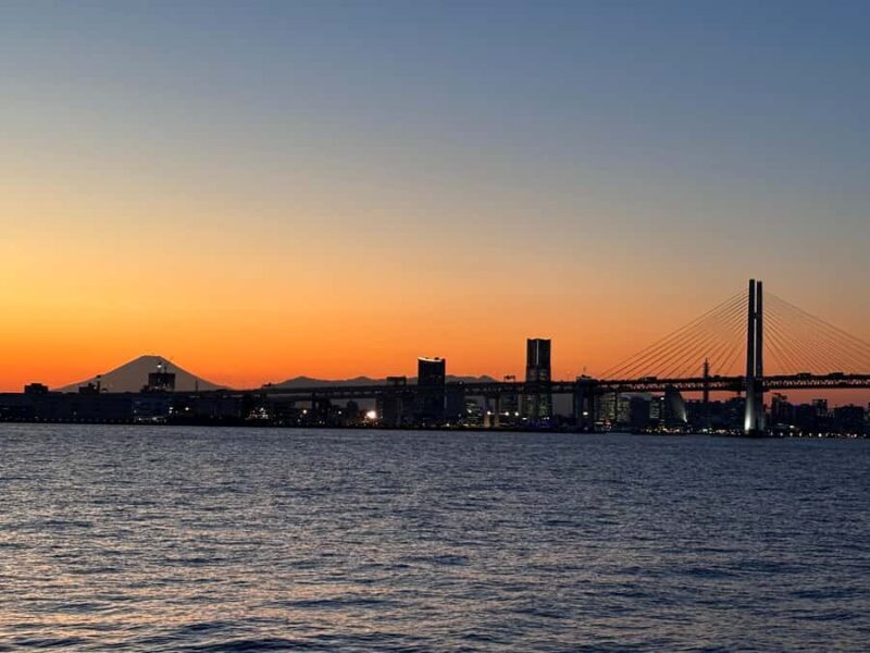 Yokohama Nights: Harbor, Chinatown & Waterfront Private Tour - Who Will Love This Tour?