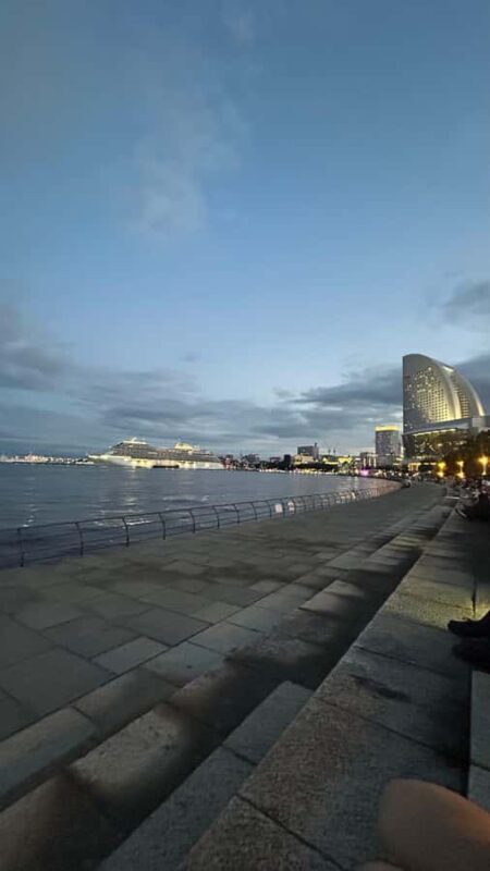 Yokohama Private Tour: Seaside, Red Brick & Chinatown - Who Will Love This Tour?
