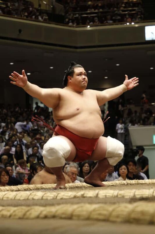Yokohama Sumo Tour from Tokyo (Ticket Included) | Apr 16 - Good To Know