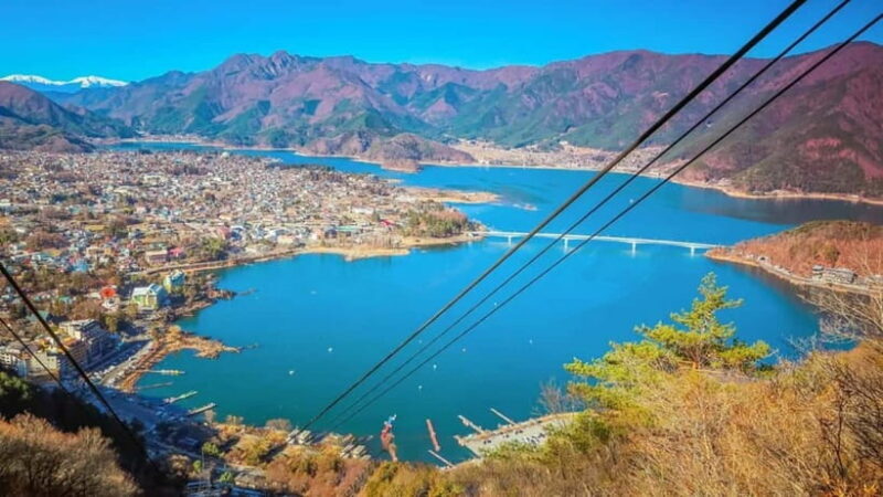 Yokohama Sumo Tour from Tokyo ( Ticket Included) | Apr 16 - Authentic Insights from Reviewers