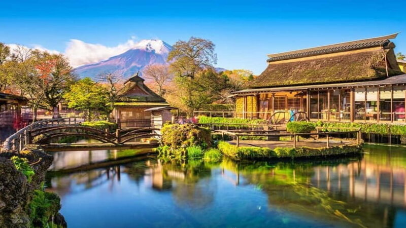 Yokohama Sumo Tour from Tokyo ( Ticket Included) | Apr 16 - The Sum Up