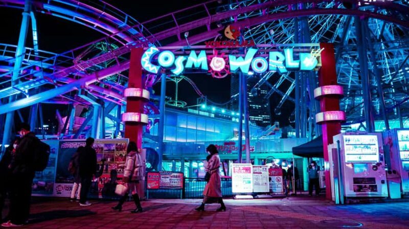 Yokohamas Best Views: Cosmo World Thrills & Bayside Dining - Who Is This Tour Best For?